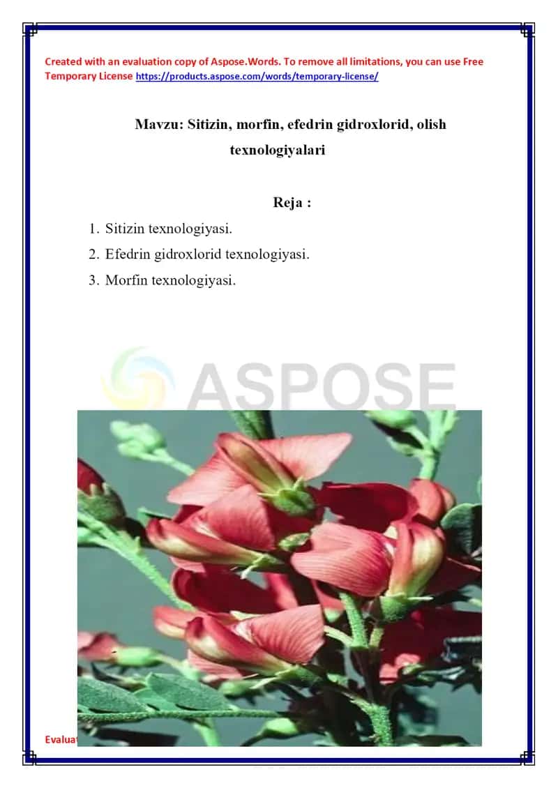 Sitizin, morfin, efedrin gidroxlorid, olish texnologiyalari