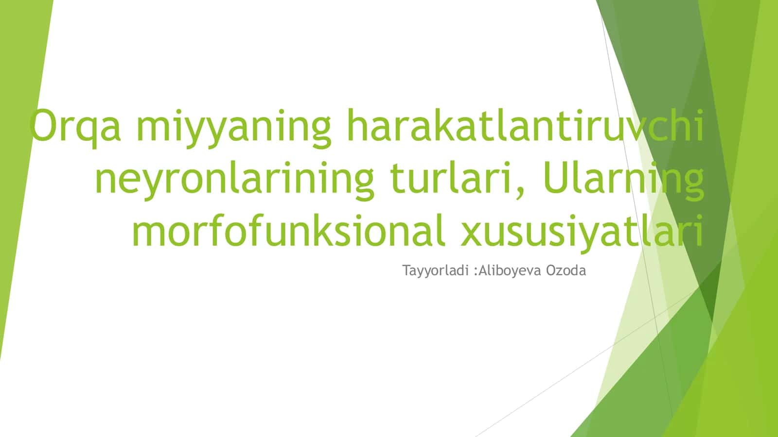 Orqa miyyaning harakatlantiruvchi neyronlarining turlari, Ularning morfofunksional xususiyatlari