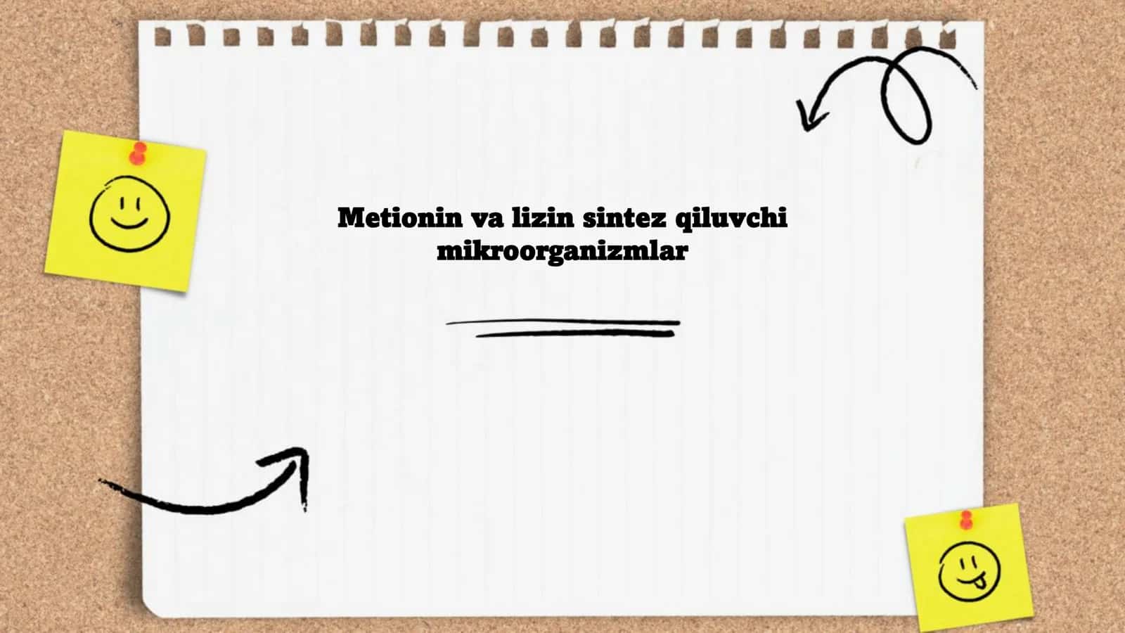 Metionin va lizin sintez qiluvchi mikroorganizmlar