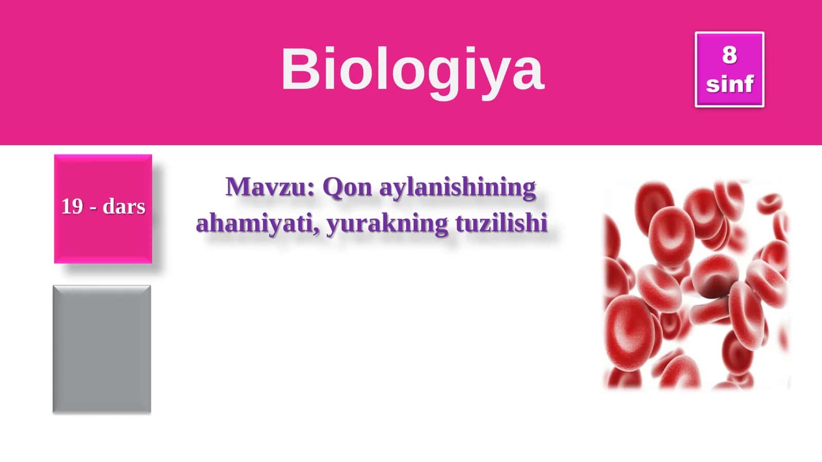 8-Sinf Biologiya: “Qon Aylanishining Ahamiyati” Taqdimot