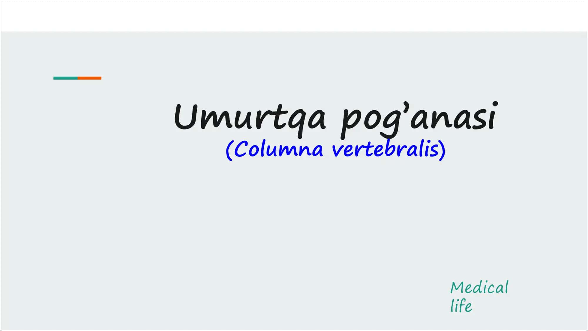 Umurtqa pog’anasi