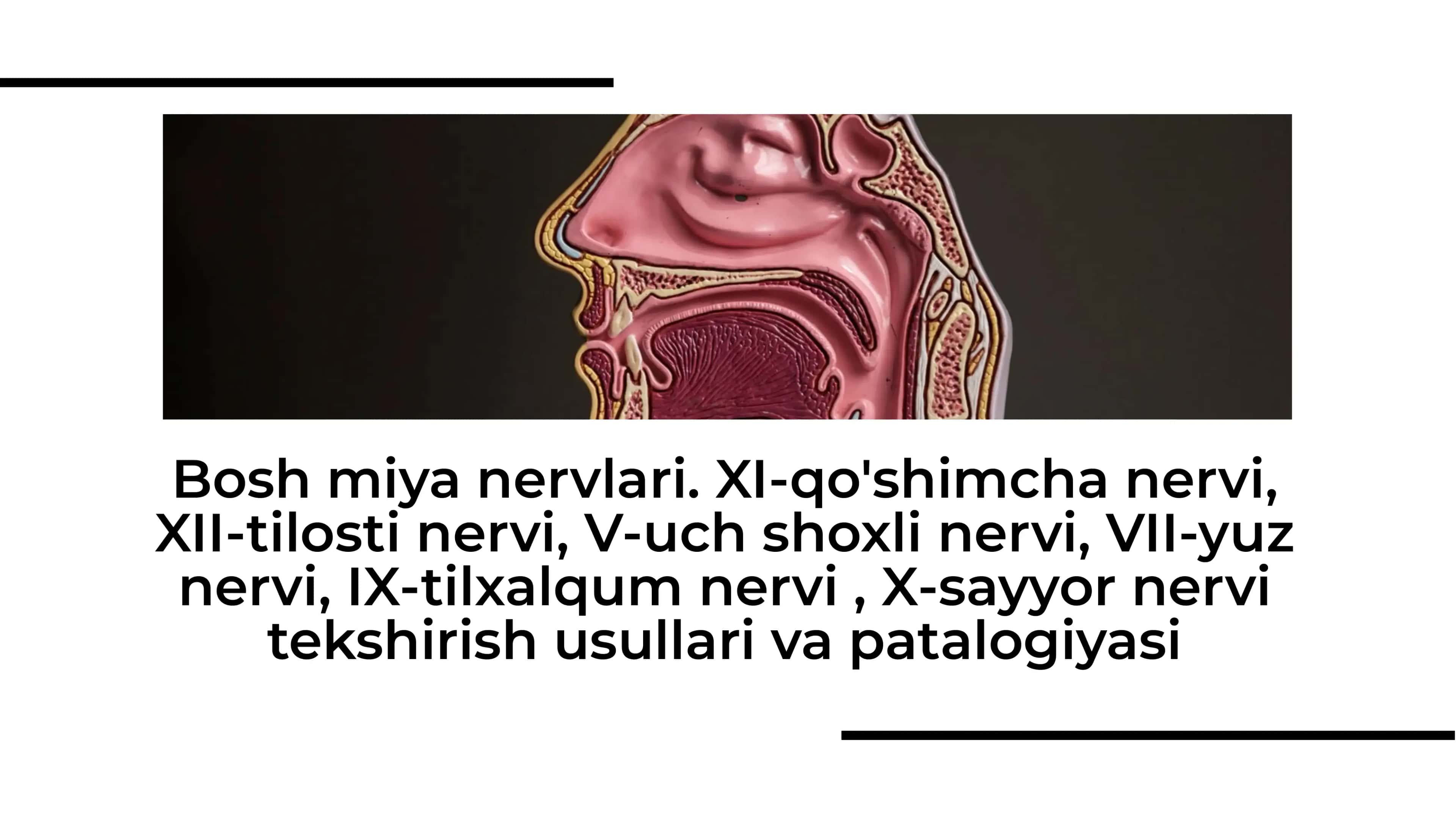 Bosh miya nervlari. XI-qo'shimcha nervi, XIi-tilosti nervi, V-uch shoxli nervi, VII-yuz nervi, IX-tilxalqum nervi , X-sayyor nervi tekshirish usullari va patalogiyasi