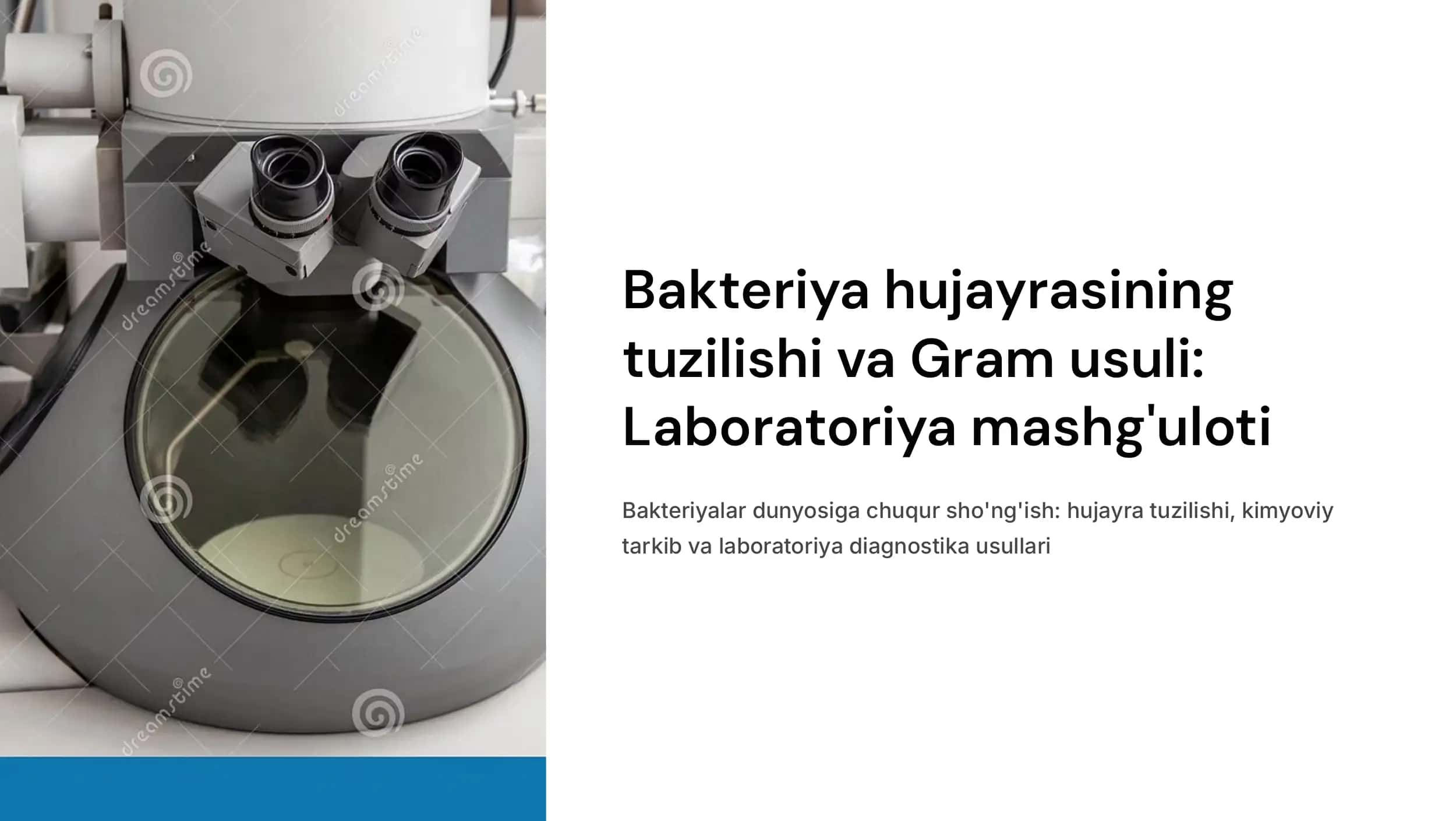 Bakteriya hujayrasining tuzilishi: doimiy bo‘lgan bakterial hujayra tuzilmalari. Kimyoviy tarkibi va ularning funksional ahamiyati. Grammusbat va grammanfiy bakteriyalarning tuzilishi va ularning farqlari (Laboratoriya mashg‘ulotlari).