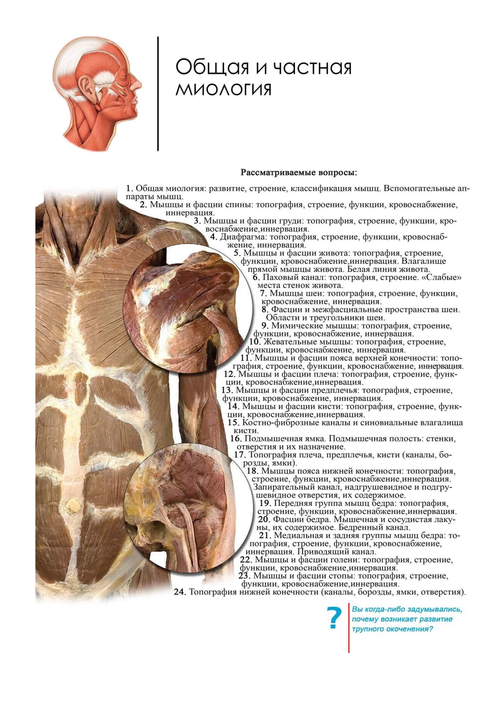 Миология
