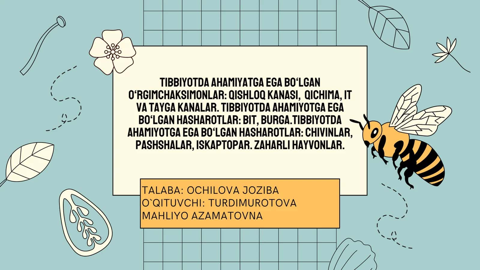 TALABA: OCHILOVA JOZIBA