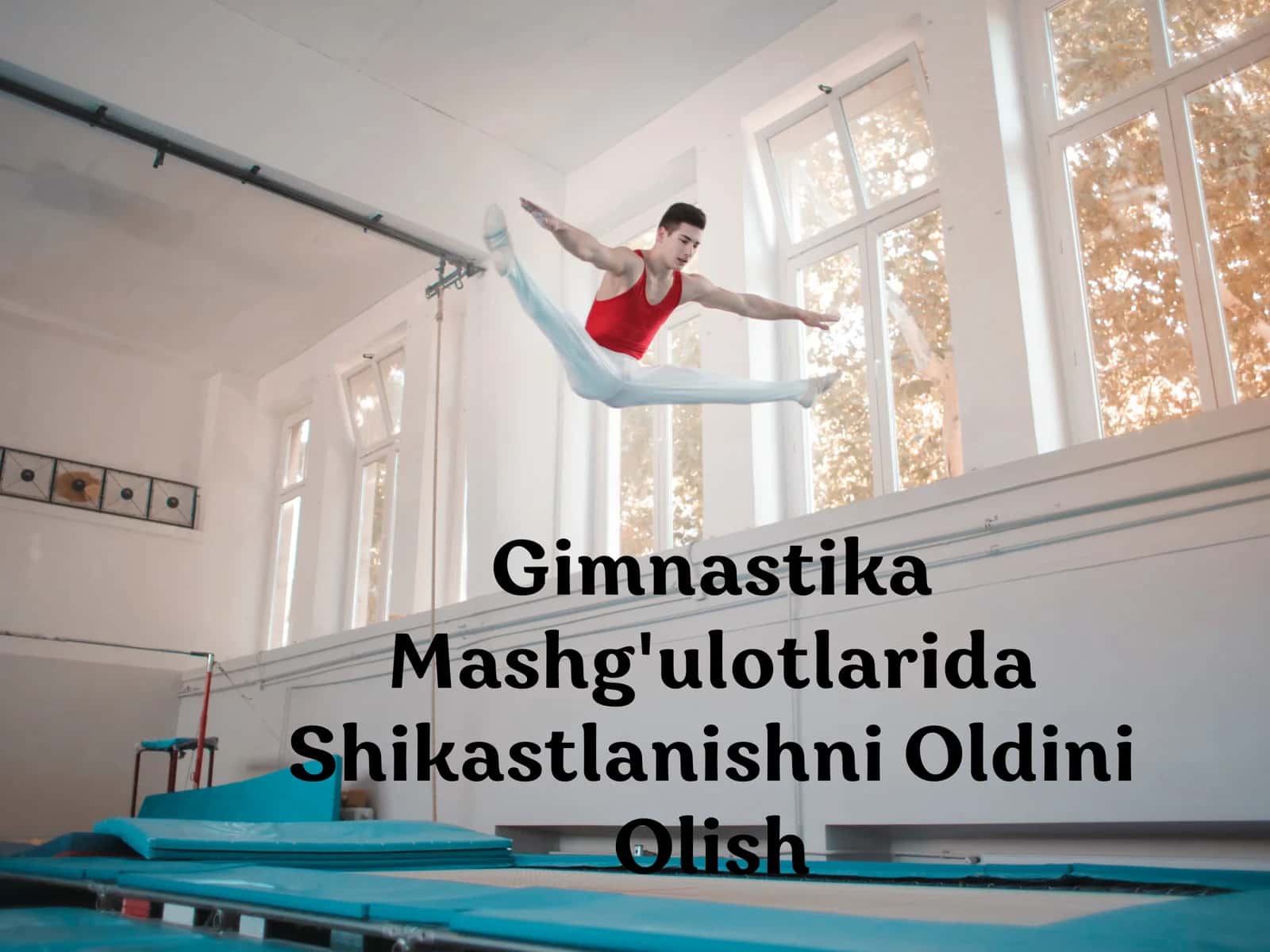 Gimnastika