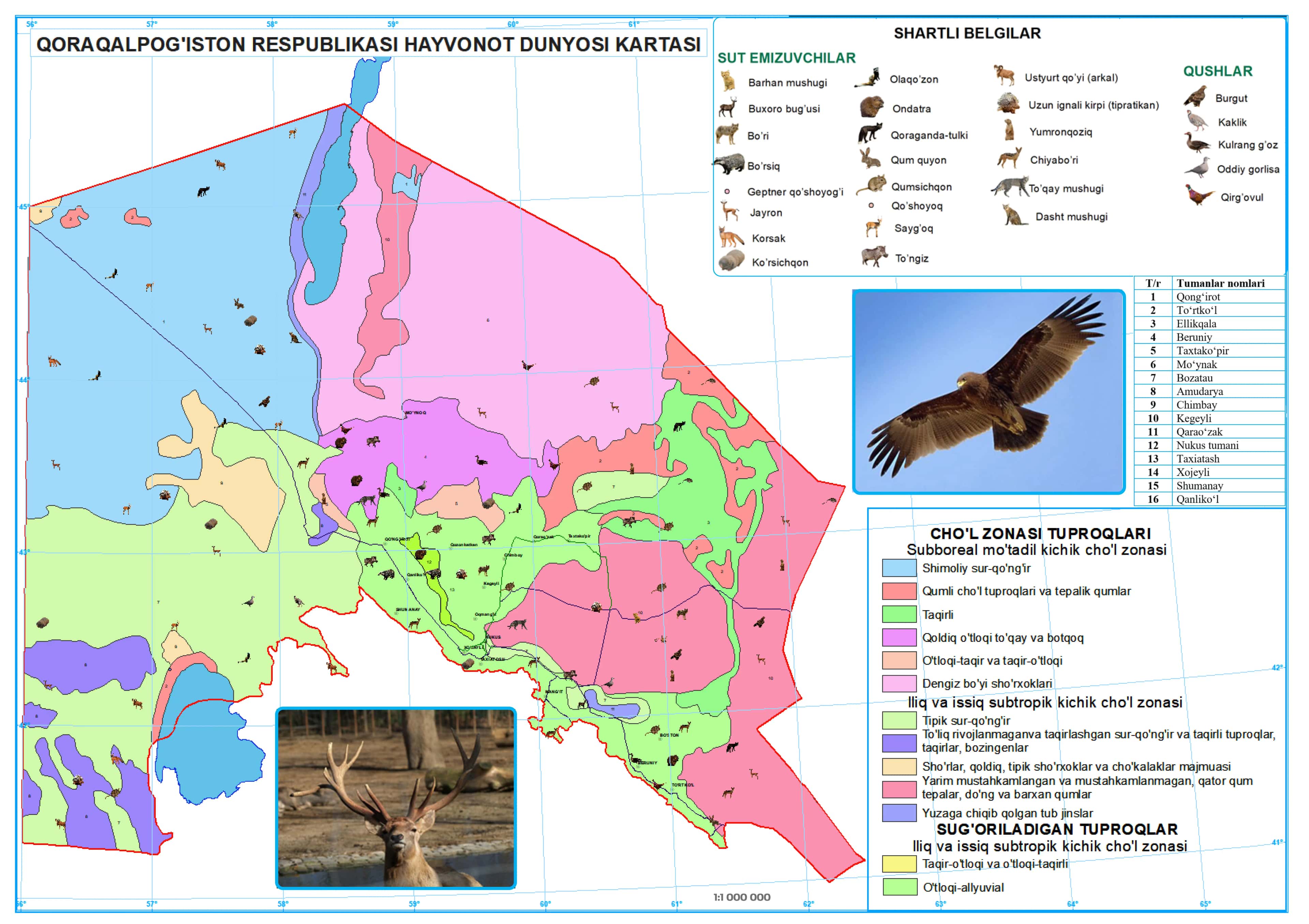 QORAQALPOG'ISTON RESPUBLIКASI HAVVONOT DUNYOSI КARTASI