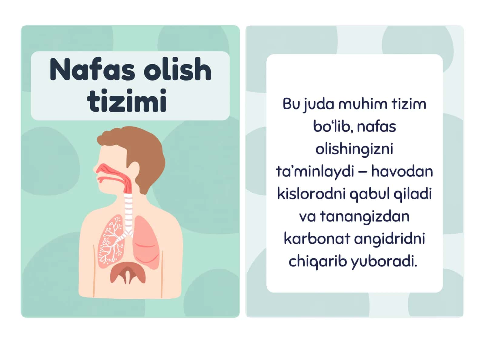 Nafas olish tizimi