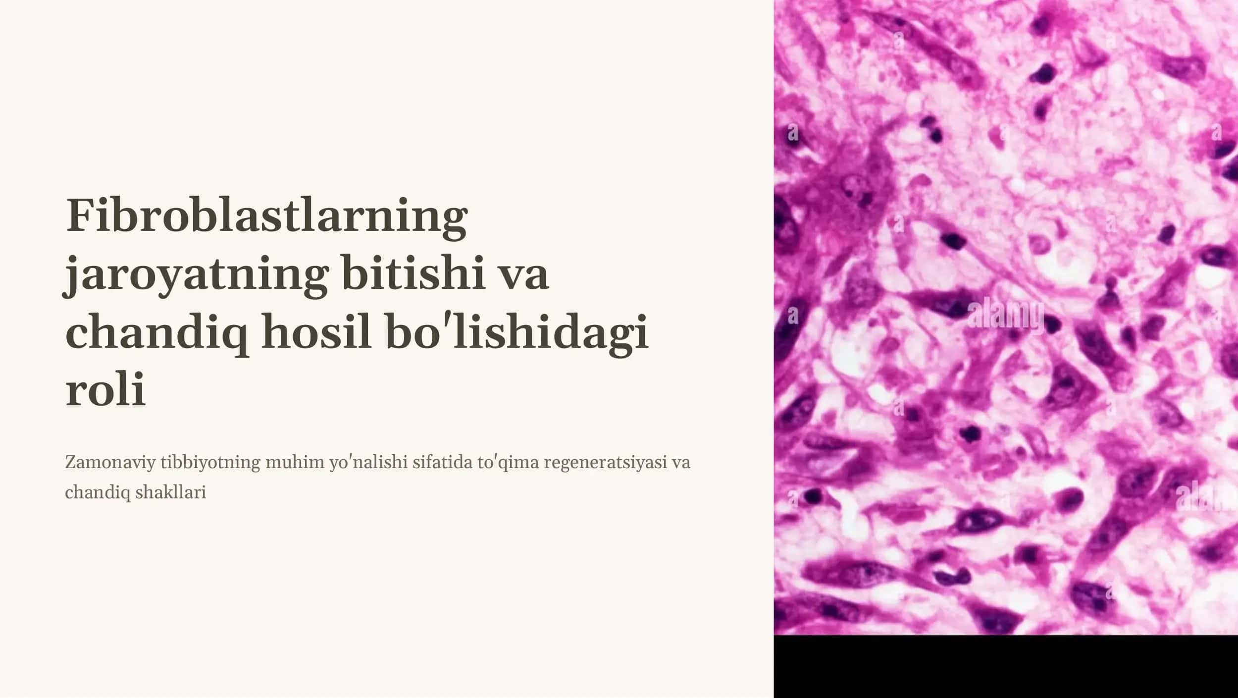 Fibroblastlarning jaroyatning bitishi va chandiq hosil bo'lishidagi roli