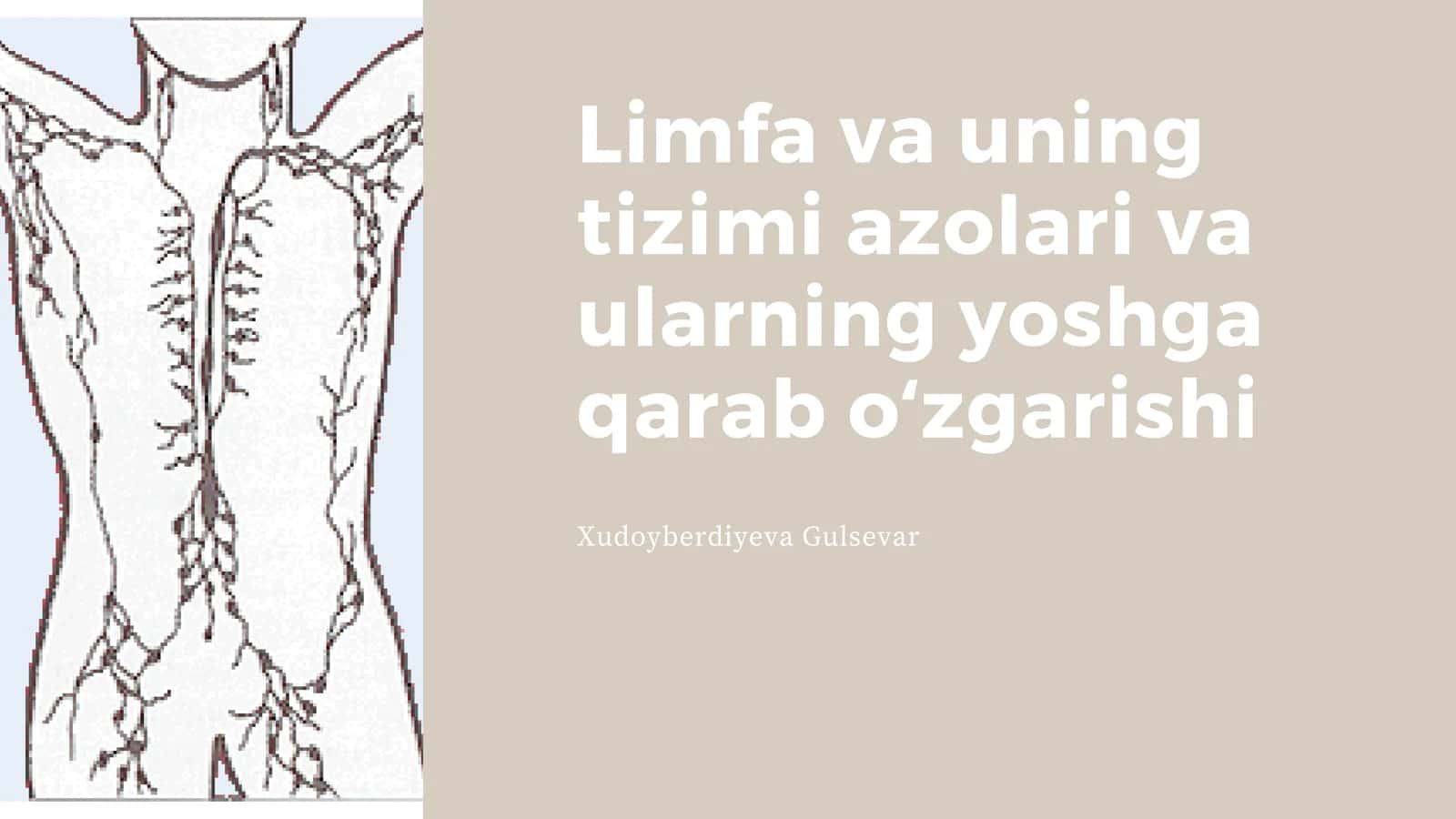 Limfa va uning tizimi azolari va ularning yoshga qarab oʻzgarishi