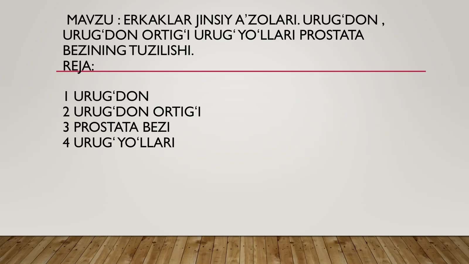 Erkaklar jinsiy sistemasi