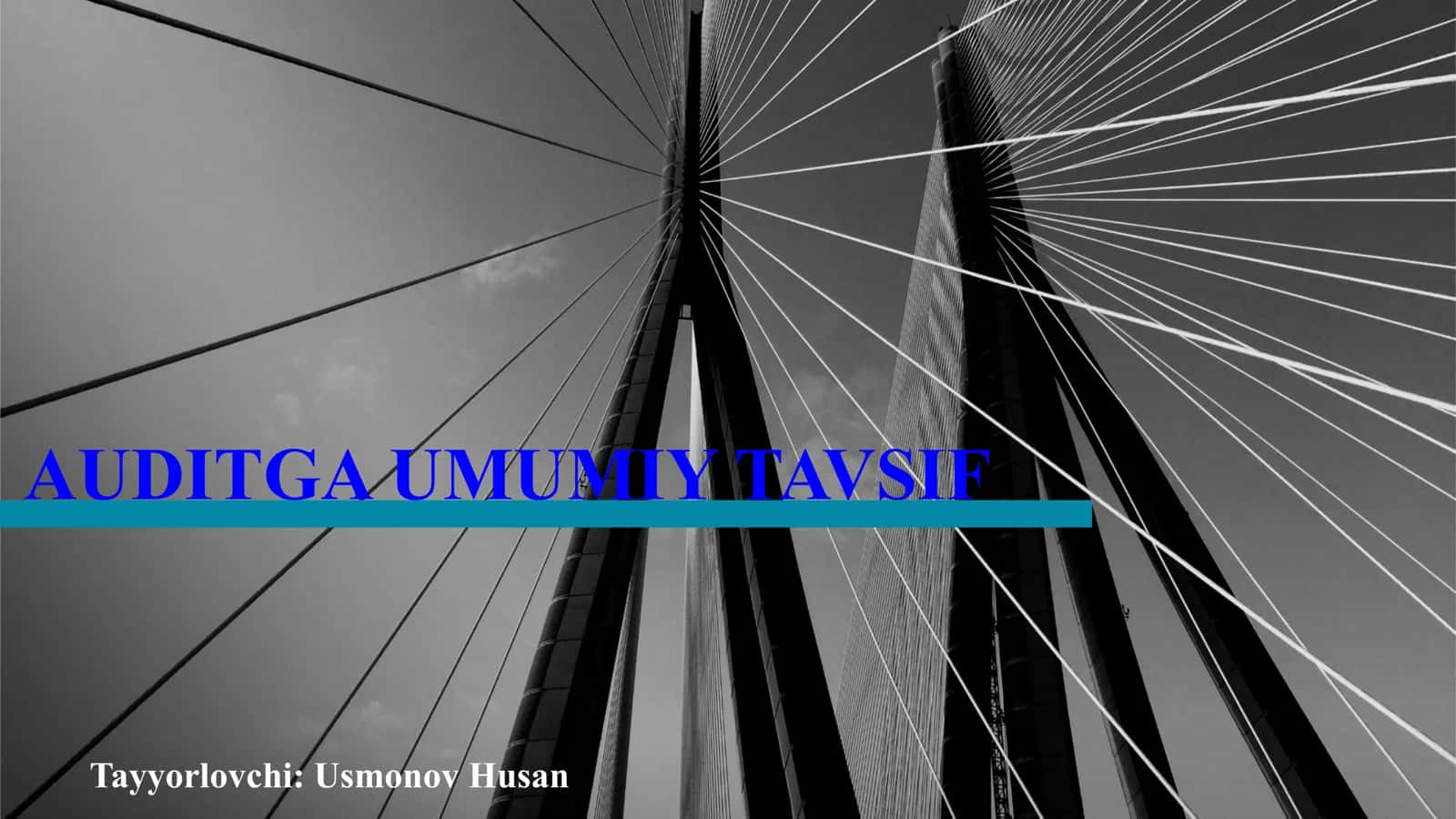 AUDITGA UMUMIY TAVSIF