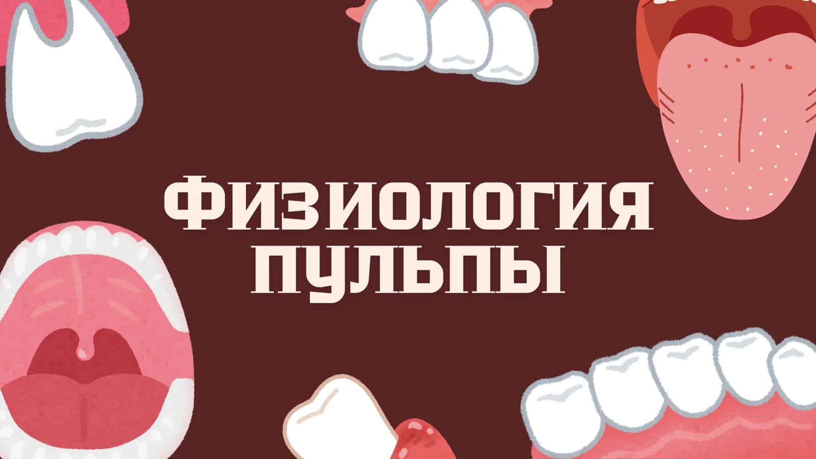 Физиология и гистология пульпы