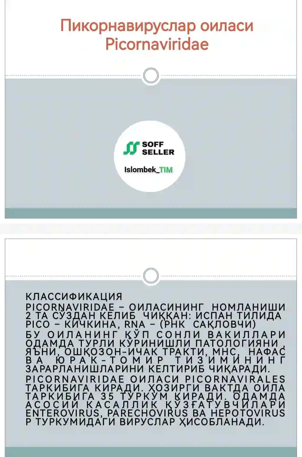 Пикорнавируслар оиласиPicornaviridae