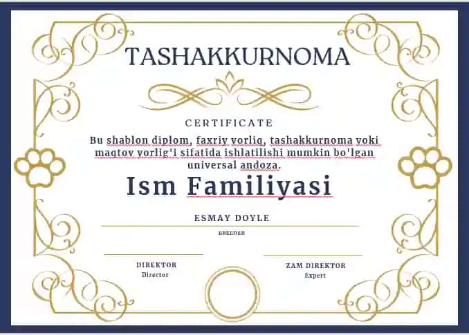 TASHAKKURNOMA shablon tayyori andoza