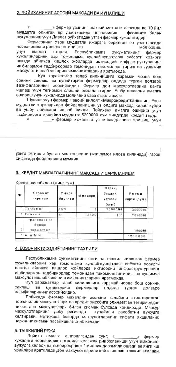 Don maxsulotlarini qayta ishlash Biznes reja