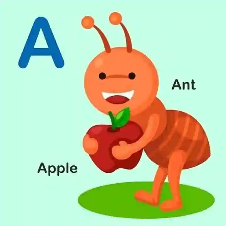 English alphabet