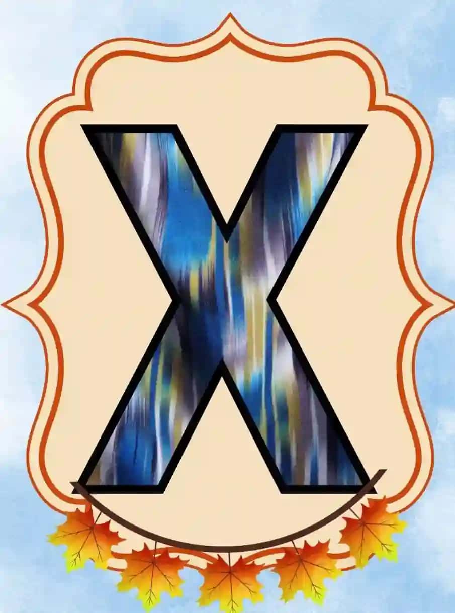 Xush kelibsiz