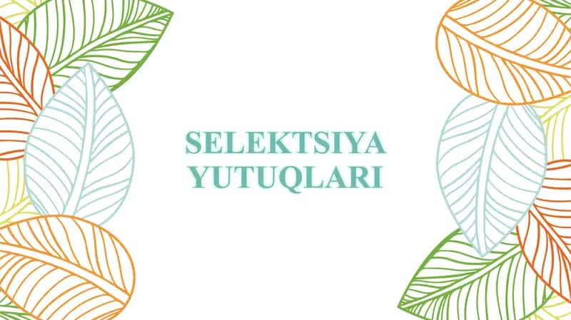 SELEKTSIYA YUTUQLARI