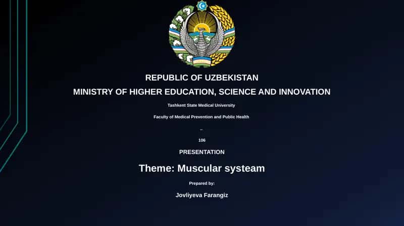 Muscular system