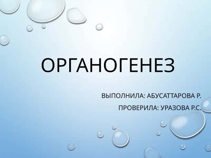 ОРГАНОГЕНЕЗ
