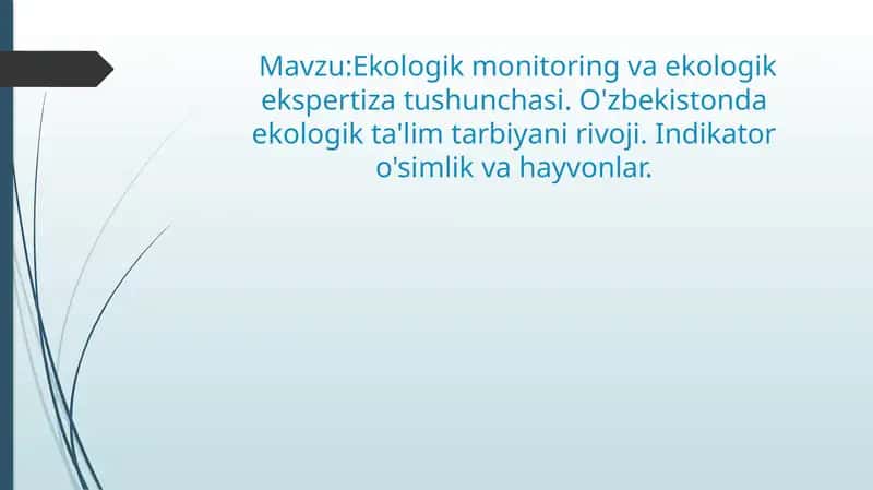 Ekologik monitoring va ekologik ekspertiza