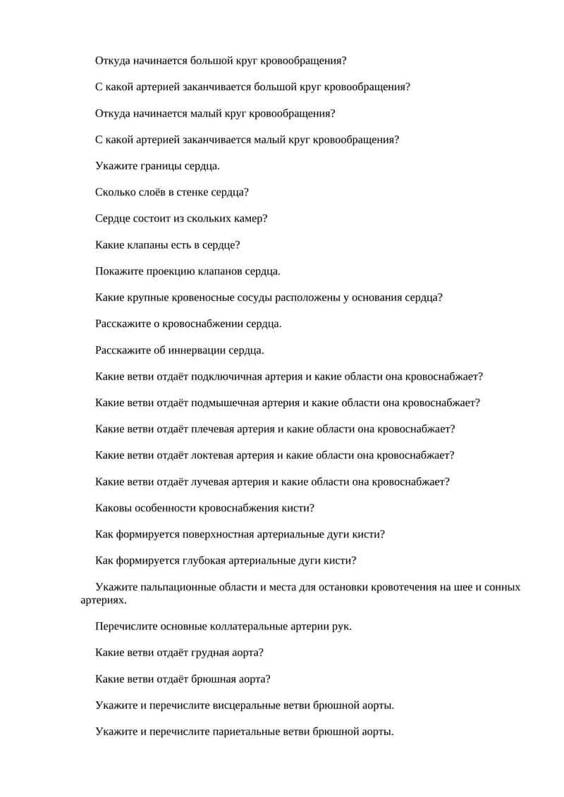 Анатомия сердца и артерий