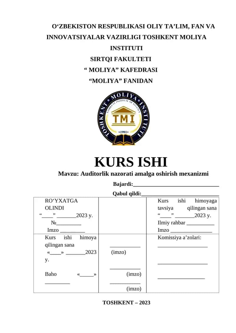Auditorlik nazorati amalga oshirish mexanizmi