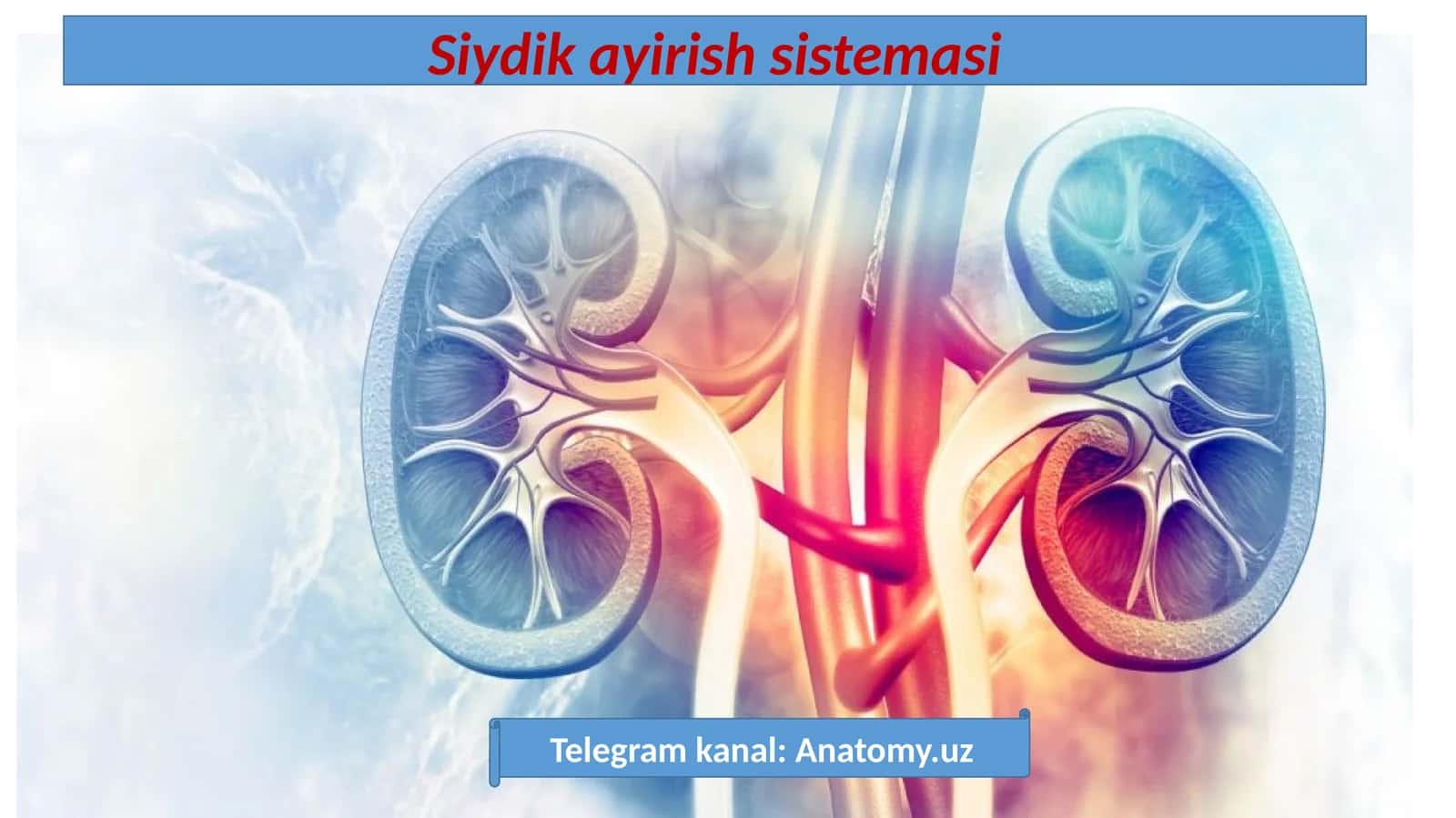 Siydikayirish Sistemasi