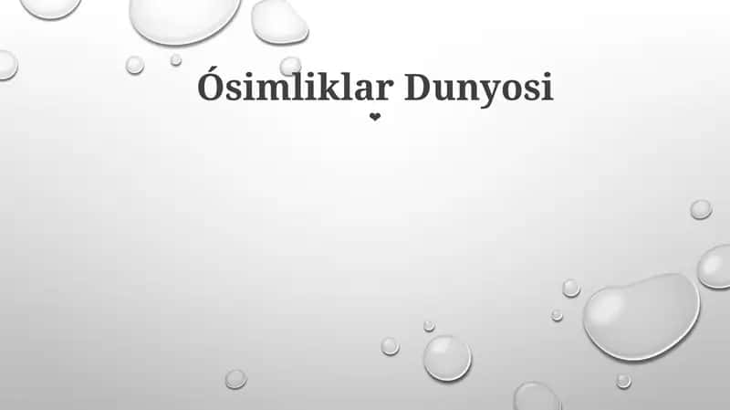 O'simliklar Dunyosi