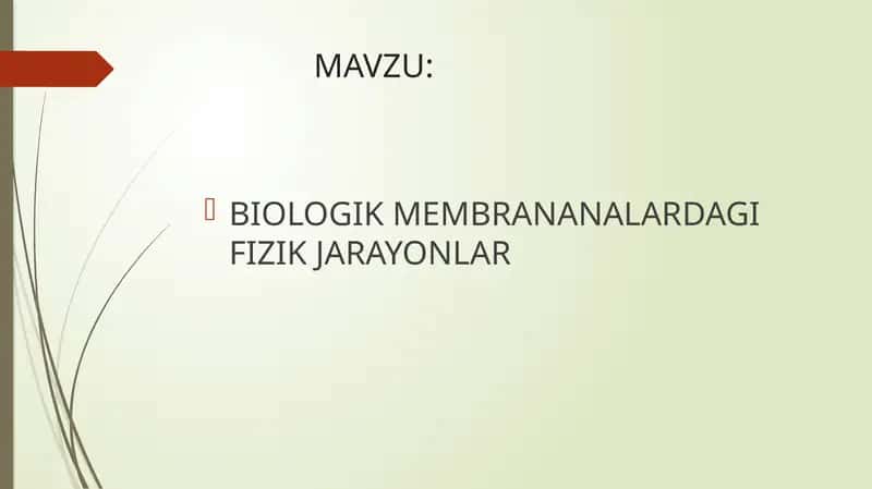 BIOLOGIK MEMBRANANALARDAGI FIZIK JARAYONLAR