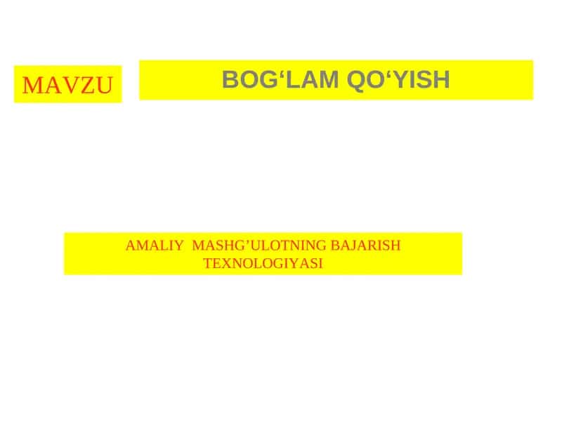 AMALIY MASHG’ULOTNING BAJARISH TEXNOLOGIYASI