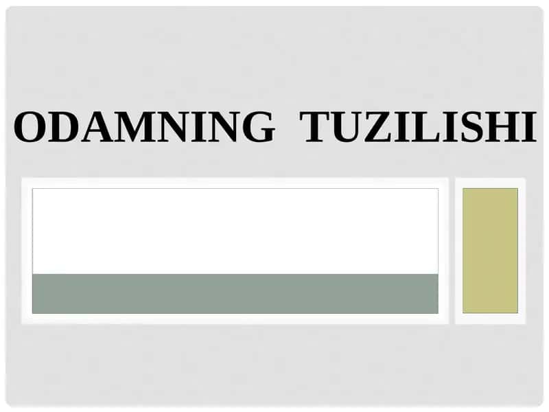 Odamning Tuzilishi