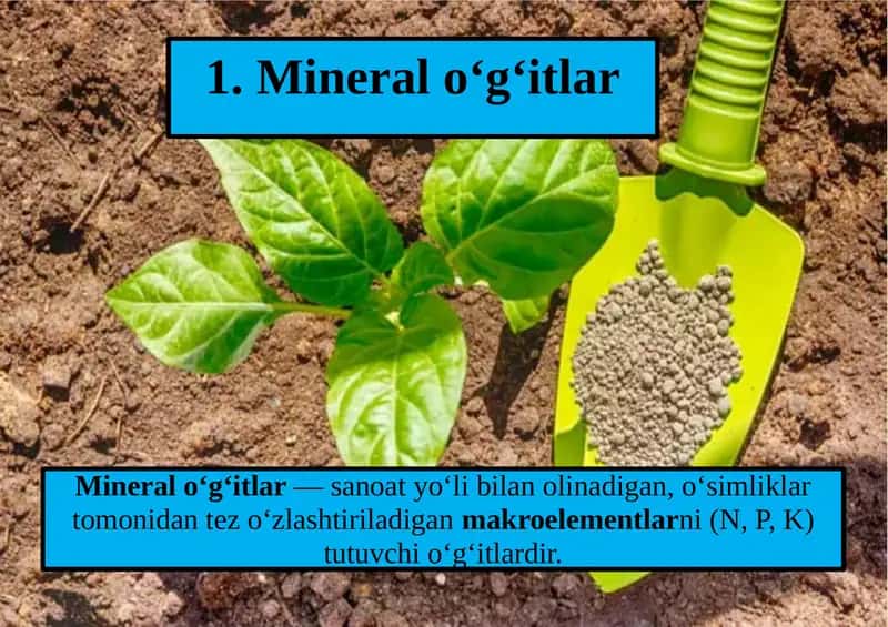 Mineral, mikro va bakterial o‘g‘itlar