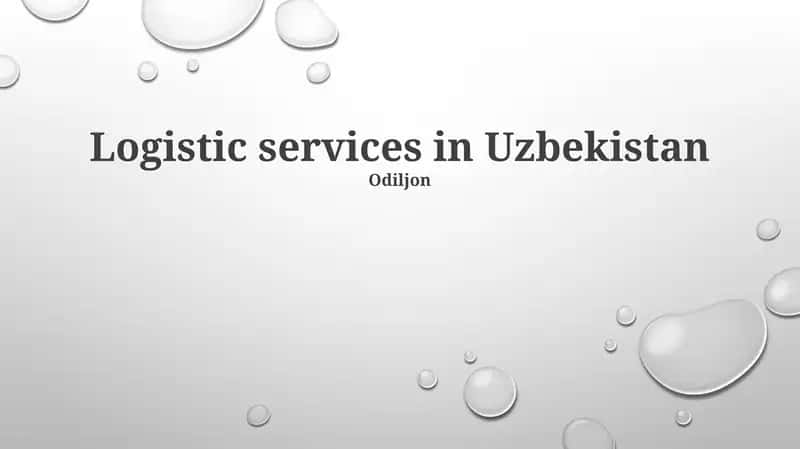 Uzbekistan Logistics Landscape: Market Dynamics & Infrastructure
