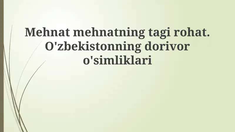 O'zbekistonning dorivor o'simliklari