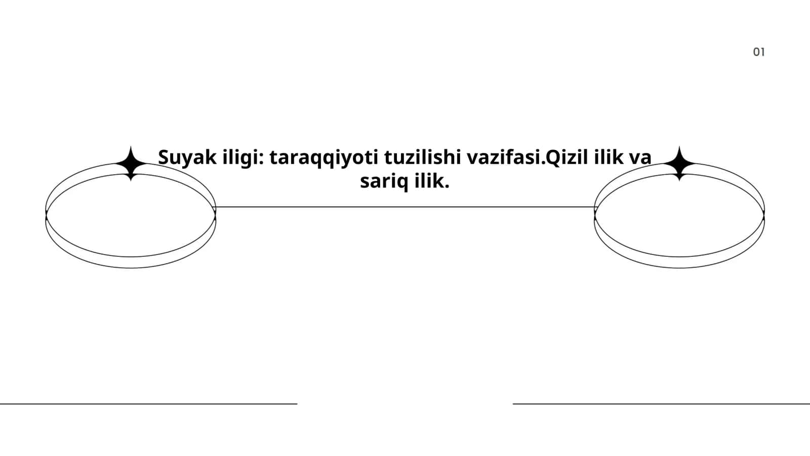 Suyak iligi: taraqqiyoti tuzilishi vazifasi