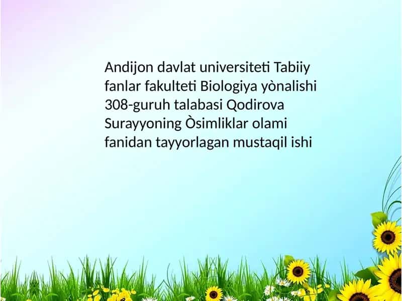 Subtropik oʻsimliklar kiritilgan turlar va ularning ahamiyati