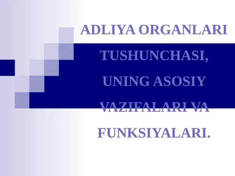 Adliya Organlari Tushunchasi