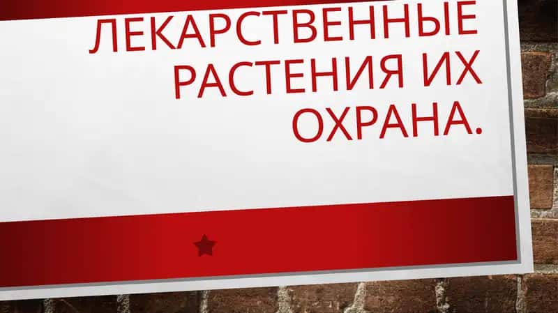 ЛЕКАРСТВЕННЫЕ РАСТЕНИЯ ИХ ОХРАНА