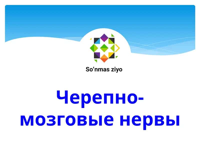 Черепно-мозговые нервы