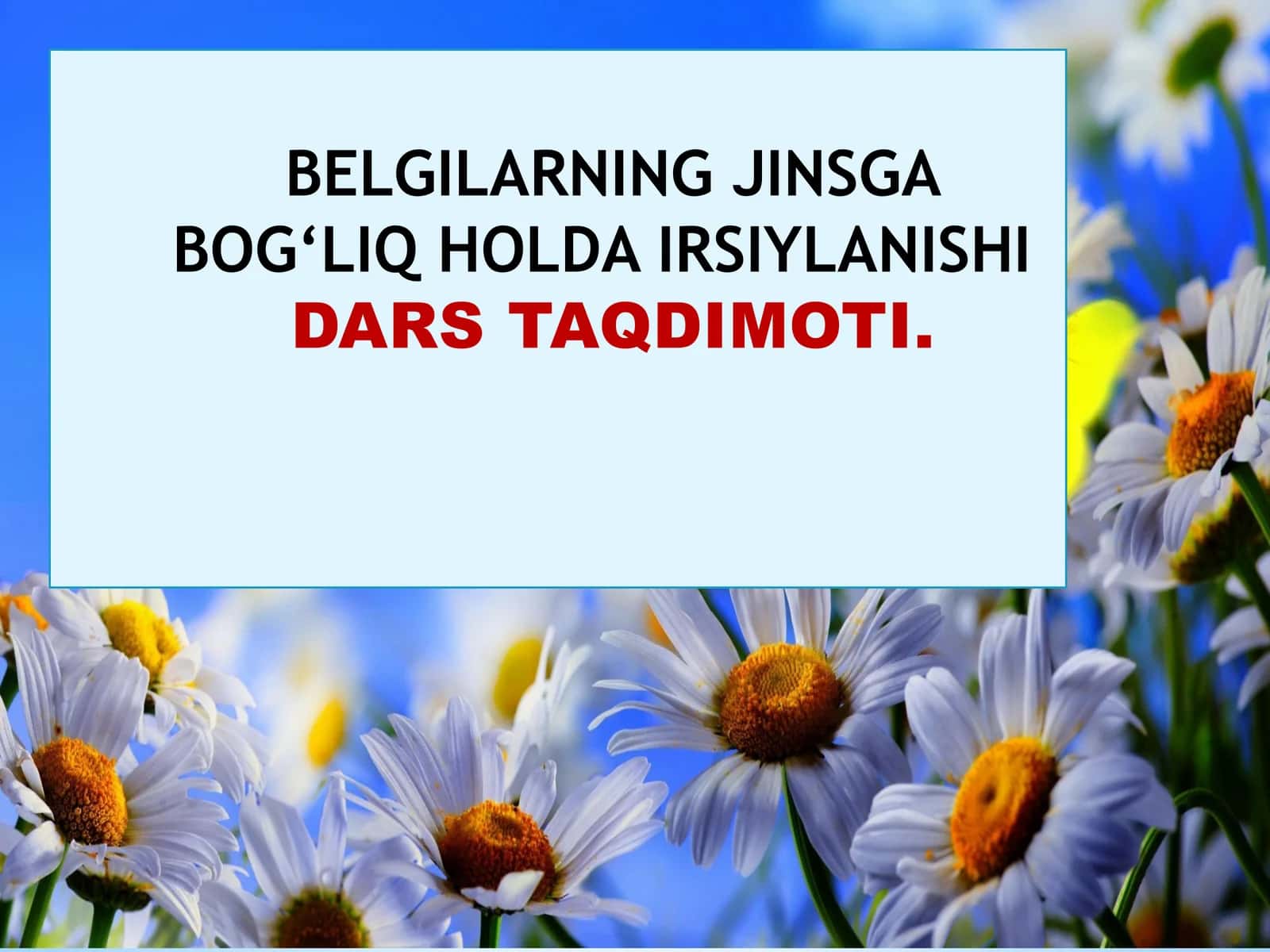 JINSGA BOG‘LIQ HOLDA IRSIYLANISHIDARS TAQDIMOTI
