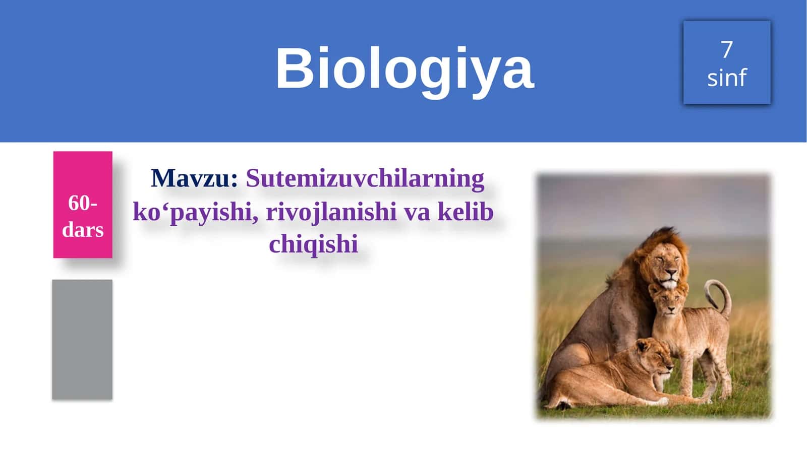 Sutemizuvchilarning ko‘payishi, rivojlanishi va kelib chiqishi