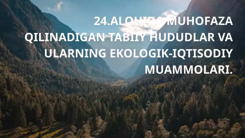 Alohida muhofaza qilinadigan tabiiy hududlar va ularning ekologik-iqtisodiy muammolari