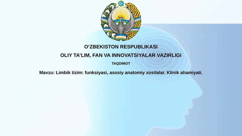Limbik Tizim