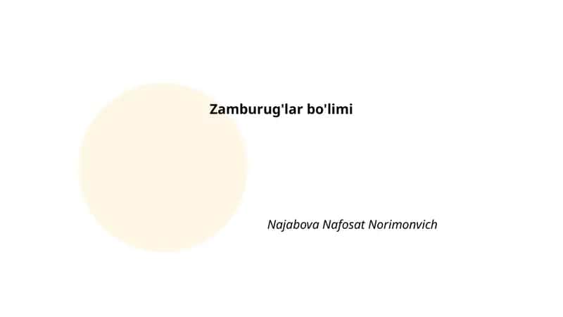 Zamburug'lar bo'limi