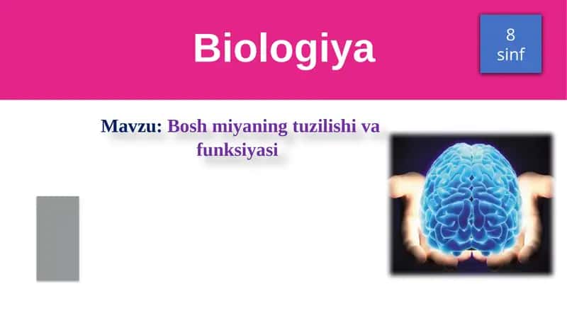 Boshmiyaning tuzilishi va funksiyasi