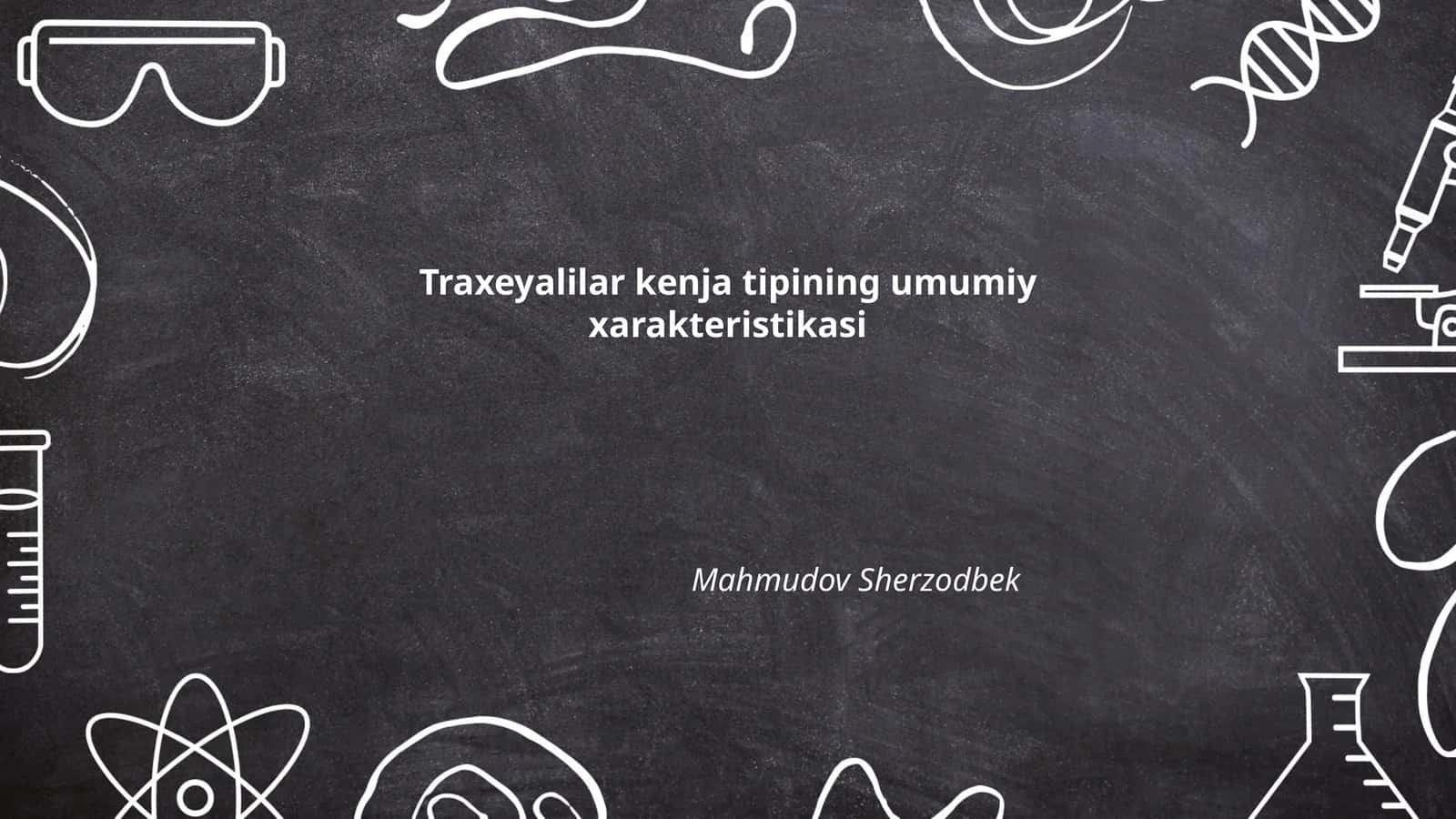 Traxeyalilar kenja tipining umumiy xarakteristikasi