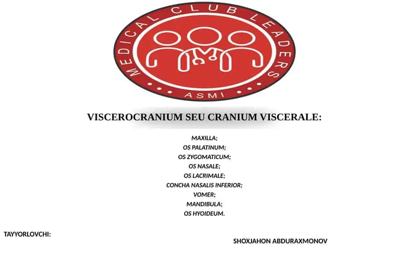 VISCEROCRANIUM SEU CRANIUM VISCERALE