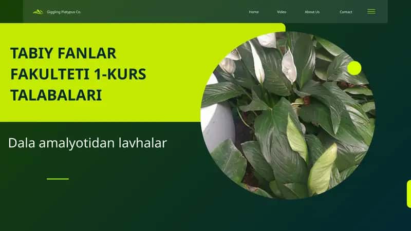 Dala amalyotidan lavhalar